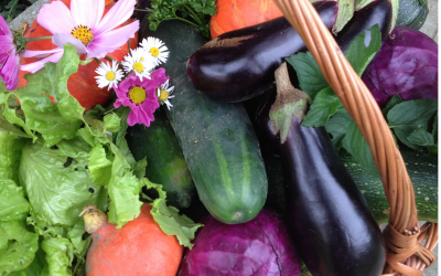 Making Greens Fun for Kids
