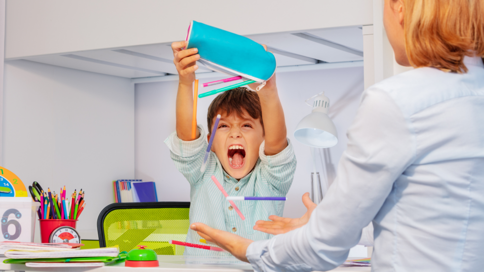 What To Do When Your Child with ADHD Has a Meltdown ADHD Thrive Institute