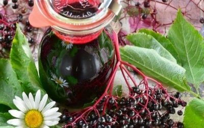 Elderberry Syrup; A Miracle Elixir!