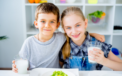 My Favorite Protein Powders as an ADHD Practitioner