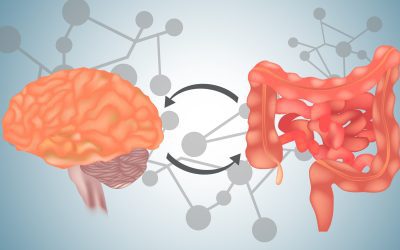39 – Gut Brain Connection with Kiran Krishnan