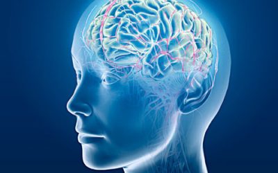 42 – Balancing the Brain with Dr. Titus Chiu