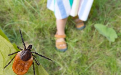 104- Lyme Disease & Its Effect on ADHD with Heather Gray