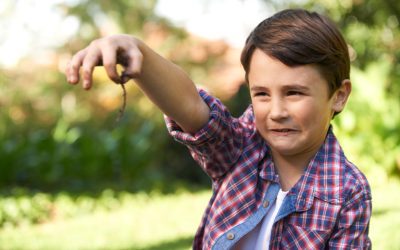 115 – Parasites in Kids with ADHD with Sinclair Kennally