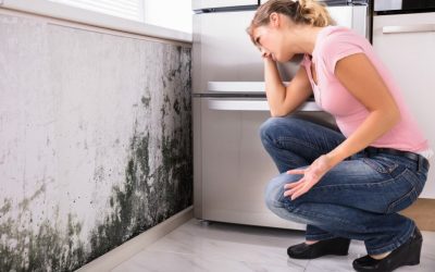 138 – Mold and ADHD (Part 1): Identifying Hidden Threats and Choosing the Right Mold Test with Brian Karr