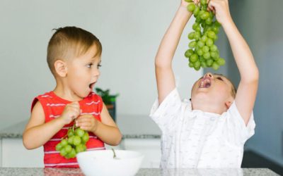 144 – Bio Essentials for ADHD: A Favorite Supplement with Resveratrol, Quercetin, and Pterostilbene with Dana Kay