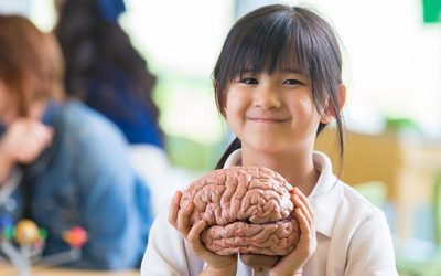 153 – Regulating the Nervous System for ADHD with Dr. Tony Ebel